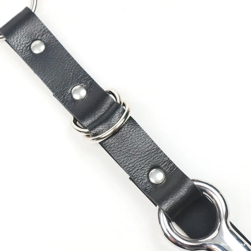 Anal Hooks with Kinky EverydayUse and 5853 Leash Hook Anal Collar 1018
